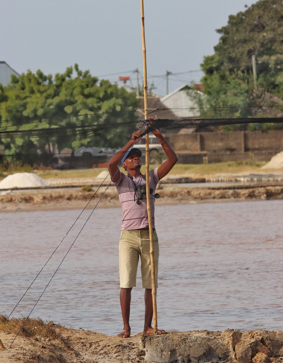 Worker crossing shallow salt pans near the Kenyan coast